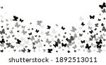 romantic black butterflies... | Shutterstock .eps vector #1892513011