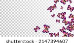 magic purple butterflies flying ... | Shutterstock .eps vector #2147394607