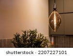 Small photo of Vintage LED lamp in the interior of the kitchen.Incandescent electric light globe hang on the ceiling.Burning an energy saving, incandescent edison lamp with a large decorative spiral.copy space