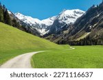 Beautiful landscape with snow capped mountains, green grass meadows and hiking trail in springtime. Trettachtal, Allgaeu, Bavaria, Germany.