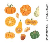 set of hand drawn pumpkins.... | Shutterstock .eps vector #1493305604