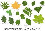 Set Of Green Tree Leaves With...