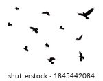 Flock Of Flying Crows Isolated...