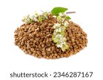 Small photo of Buckwheat plant with white flowers and seeds. Buckwheat plant white blossom. Buckwheat seeds and fresh flowers isolated on white background. Buckwheat flower isolated on white.