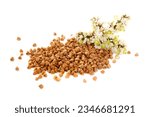 Small photo of Buckwheat plant with white flowers and seeds. Buckwheat plant white blossom. Buckwheat seeds and fresh flowers isolated on white background. Buckwheat flower isolated on white.