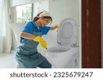 Small photo of Detail-oriented Asian housewife diligently scrubs and cleans the toilet bowl in her home's bathroom, ensuring utmost hygiene and a fresh, welcoming atmosphere.