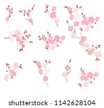 Free Hand Sakura Flower Vector...