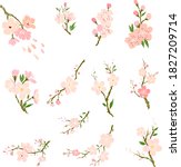 free hand sakura flower vector... | Shutterstock .eps vector #1827209714