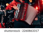 Small photo of The musician plays the accordion. A hand plays the accordion close-up. Accordion.