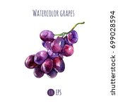 Vector Illustration Of Grapes...