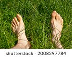 Barefoot Male Feet On The Green ...