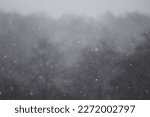 blured background of dark gloomy forest with dry trees in snowfall and blizzard