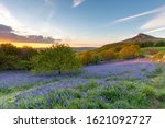Roseberry Topping And Blooming...