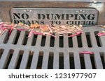 No Dumping Drains To Creek  ...