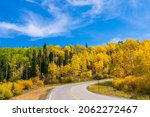 Fall autumn colors under blue sky along State Highway 65, Grand Mesa Scenic Byway in Colorado