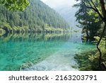 Lake with submerged tree trunks. Jiuzhaigou Valley was recognize by UNESCO as a World Heritage Site and a World Biosphere Reserve - China. soft focus image