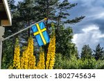 Swedish Flag With Wet Flagpole...