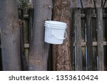 Small photo of A white bucket hangs from a sugar maple tree affixed to a sap tapping aluminum spile bracket. The syrup is dripping into the container collecting to be boiled into sweet maple sugar.