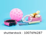 Small photo of Pet supplies about collars, comb, nail scissors. Bowls with snacks and toys on blue background.