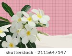frangipani plumeria flower... | Shutterstock .eps vector #2115647147