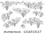 monochrome grapes branches set. ... | Shutterstock .eps vector #1216513117