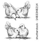 Hand Drawn Doves Couple...