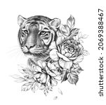 hand drawn monochrome tiger... | Shutterstock . vector #2069388467