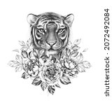 hand drawn monochrome tiger... | Shutterstock . vector #2072492084