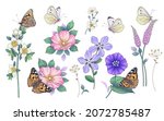 hand drawn pink and purple... | Shutterstock . vector #2072785487
