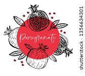 hand drawn pomegranate... | Shutterstock .eps vector #1356634301