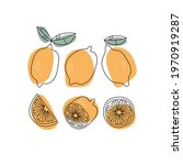 hand drawn lemon  whole  half... | Shutterstock .eps vector #1970919287