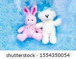 Soak Rabbit Doll With  Toy...