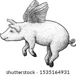 Flying Pig Illustration ...