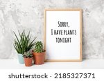 Small photo of Sorry, I have plants tonight. Motivational pun quote on wood frame and house plants on white table against grey stone wall. Inspirational joke, humor phrase of the day