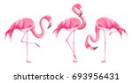 Set Of Exotic Flamingos...
