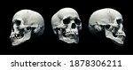 set human skulls with an close... | Shutterstock . vector #1878306211