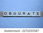 Small photo of text the word obdurate from brown wooden small letters with black font on an gray background