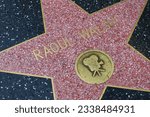 Small photo of Hollywood, California – May 29, 2023: Star of RAOUL WALSH on Hollywood Walk of Fame, Hollywood Boulevard