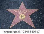 Small photo of Hollywood (Los Angeles), California – May 30, 2023: Star of OZZIE and HARRIET NELSON on Hollywood Walk of Fame, Hollywood Boulevard