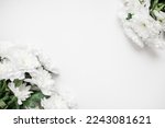 White Chrysanthemums On White...