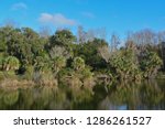Reflection of shoreline at Kathryn Abbey Hanna Park, Duval County, Jacksonville, Florida.