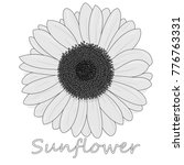 sunflower isolated on white... | Shutterstock .eps vector #776763331