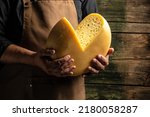 Small photo of A head of hard cheese in man's cheesemaker hands. delicious dairy products. cheese maasdam with big holes