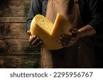 Small photo of cheesemaker hold big slice of cheese maasdam in hand. Cheese with big holes. head of handcrafted hard cheese. Long banner format. top view.