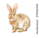 Brown Rabbit Watercolor...