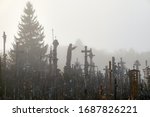 hill of crosses  kryziu kalnas  ... | Shutterstock . vector #1687826221