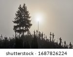 hill of crosses  kryziu kalnas  ... | Shutterstock . vector #1687826224