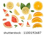 sliced pieces of grapefruit ... | Shutterstock . vector #1100192687