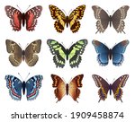 collection of colored... | Shutterstock .eps vector #1909458874
