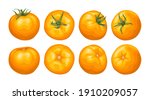set of yellow tomatoes. fresh... | Shutterstock .eps vector #1910209057